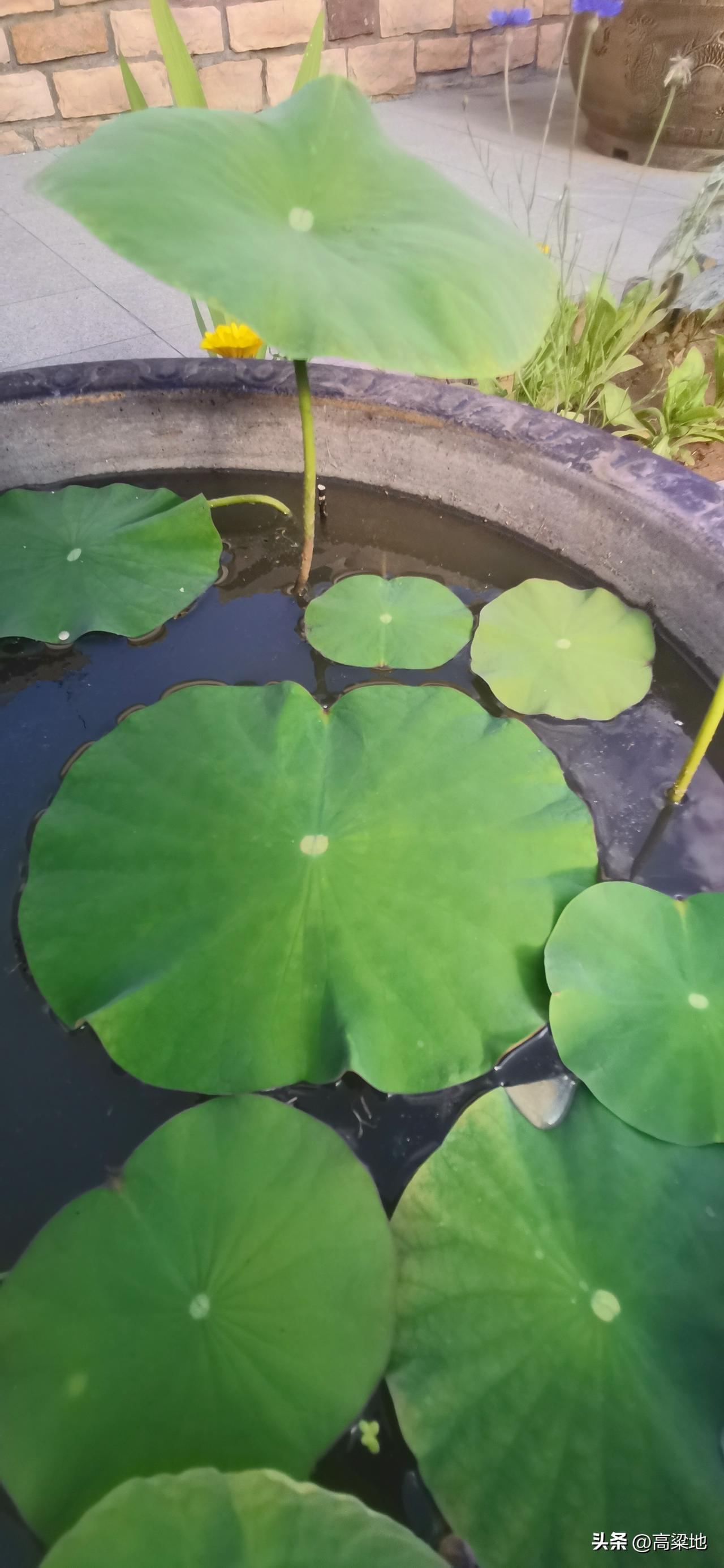 人的一生，就是不断取舍的过程。想要追逐梦想，就要舍弃安逸；想要深耕自我，就要舍弃