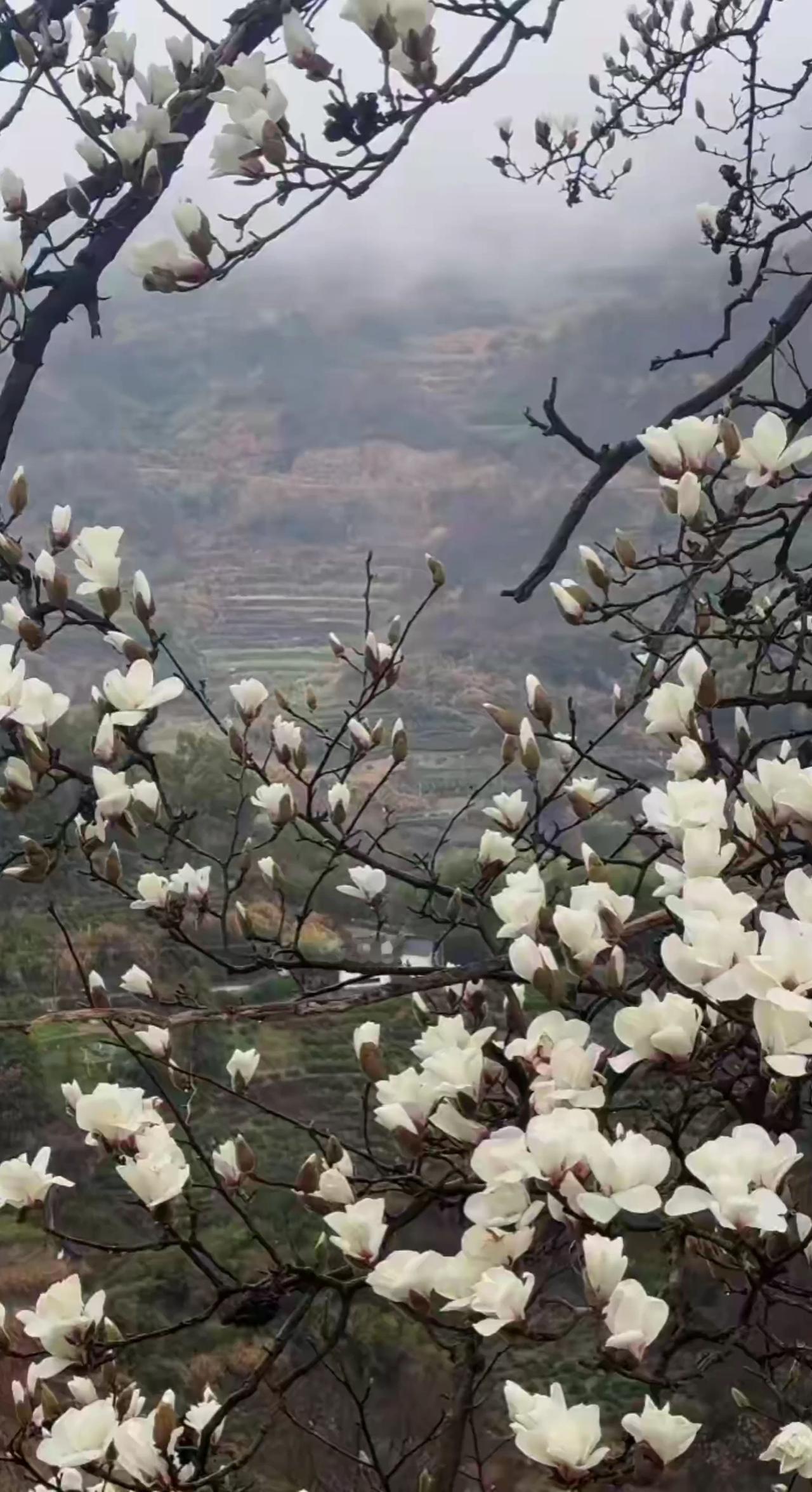 2026年3月17日星期二，农历正月廿九。人生的岁月里，读书是最能给予人力量，是