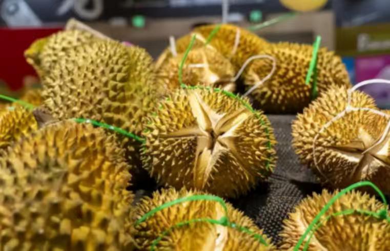 失去中国市场后，大量水果烂在地里卖不掉，现在开始后悔。 
在全球农产品贸易的宏大