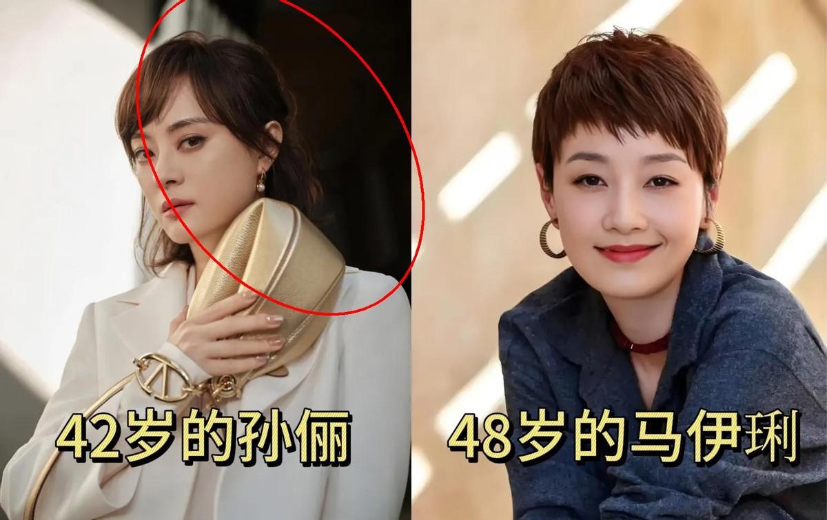 我算是理解导演汪俊为什么不找马伊琍演蛮好的人生，而找孙俪！

素材主要聊了孙俪和
