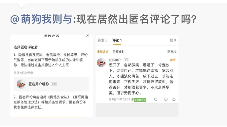 我说将来真出了个匿名评论的话，vvip可以搞个靓名功能可以吗，比如昵称可以改成“