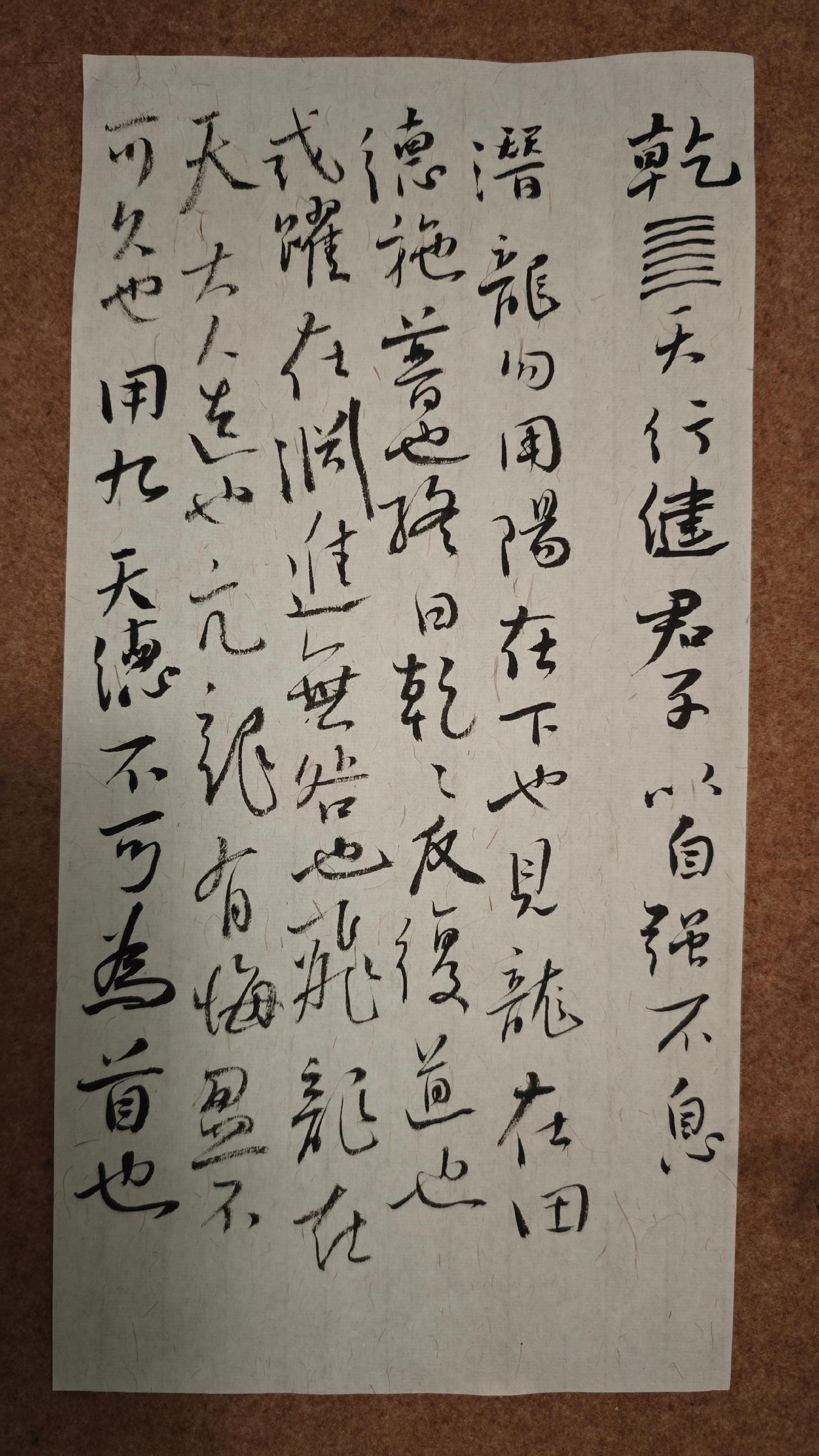 天行健；君子以自强不息。
　　潜龙勿用，阳在下也。见龙在田，德施普也。终日乾乾，
