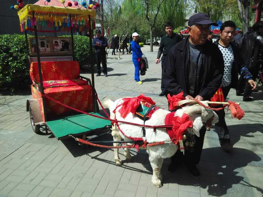 太逗了，能想出此招的人绝对是人中人。
