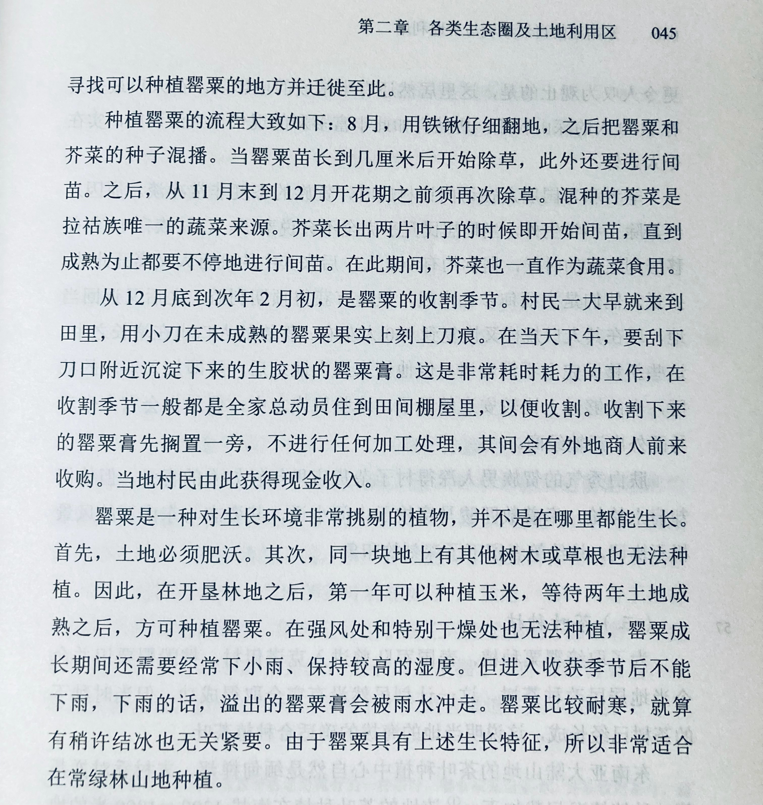 不是一个花盆就能种吗 ​​​