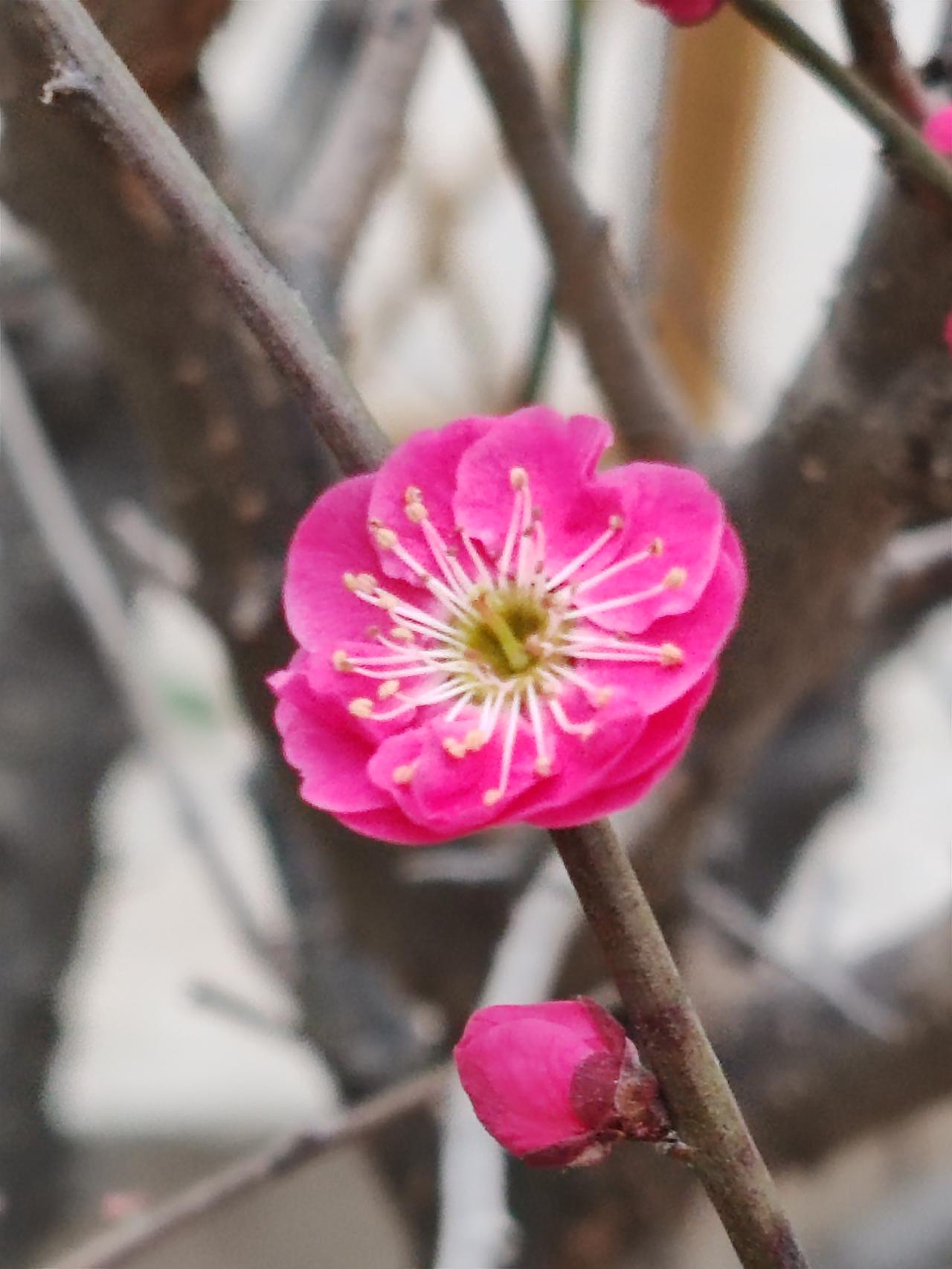 婚姻质量需夫妻双方共同经营，经营得当，婚姻便会和谐美满；经营不善，则极有可能走向