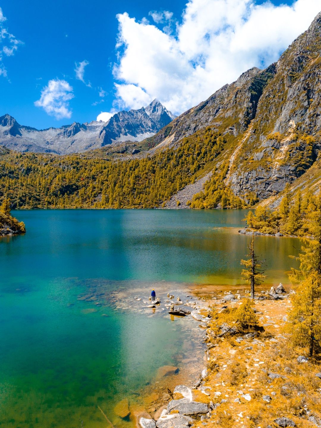 川西这里的秋景可以直接封神吧？🏔️