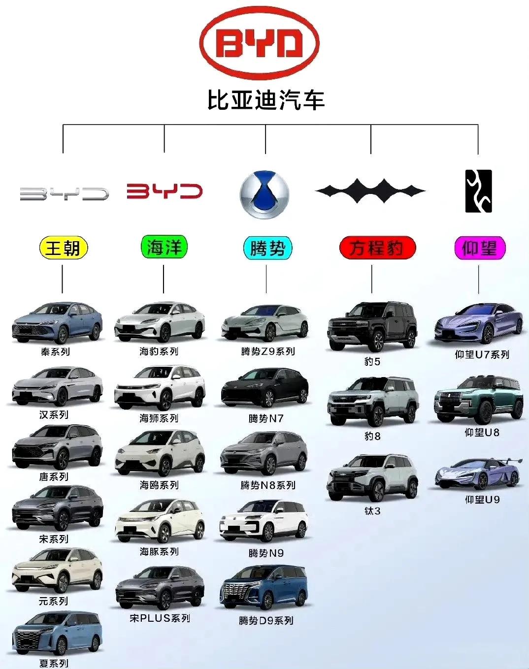 比亚迪全系列大全，比亚迪家族越来越庞大了，再想想某些人之前“车界恒大”的谬论，简