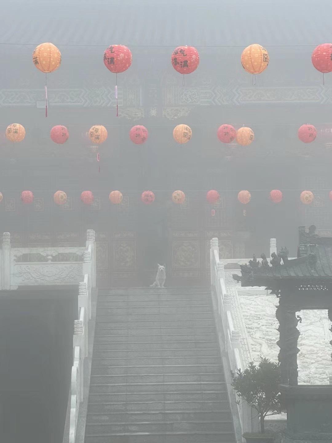 悉达多说：一切都是最好的安排，不要去怪身边的任何人，好的人给你带来快乐...