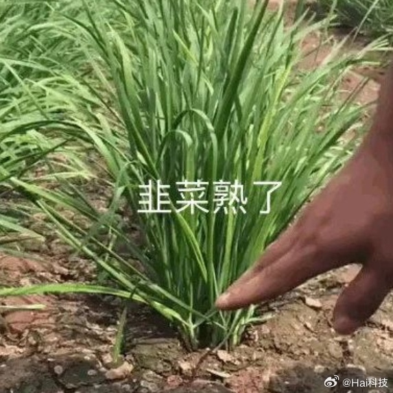 朋友发来了张图，嗯，韭菜熟了黄金跌个没完