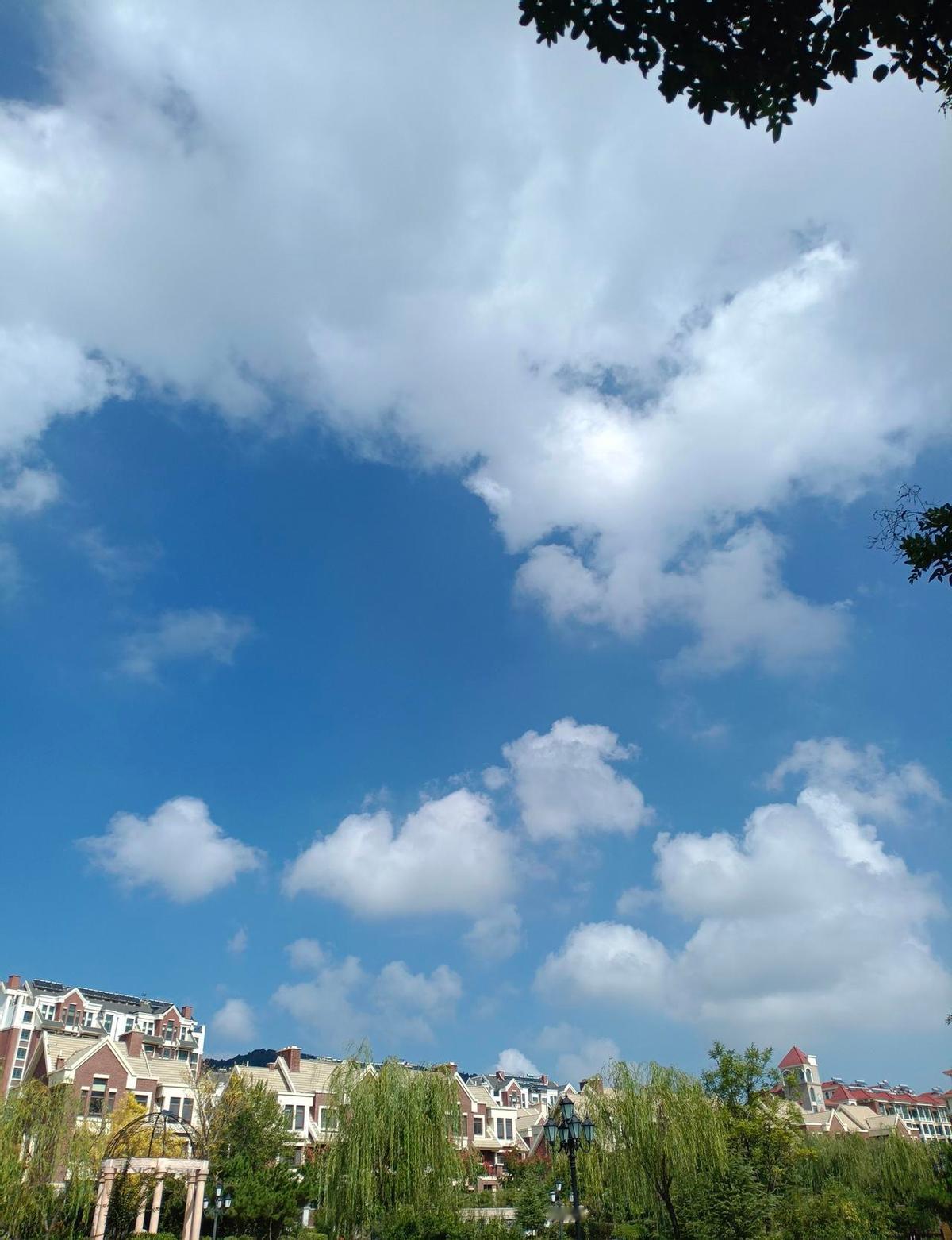 烟台队输了，但没人说他们不配。
最后一场，1比2输给日照，净胜球多两个，积分一样