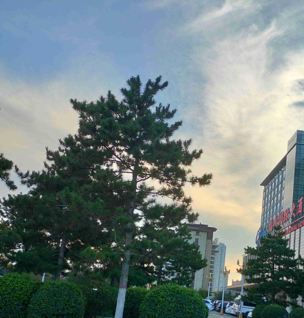 我的今日状态：💰期待暴富
我这里的天气：☀️晴天