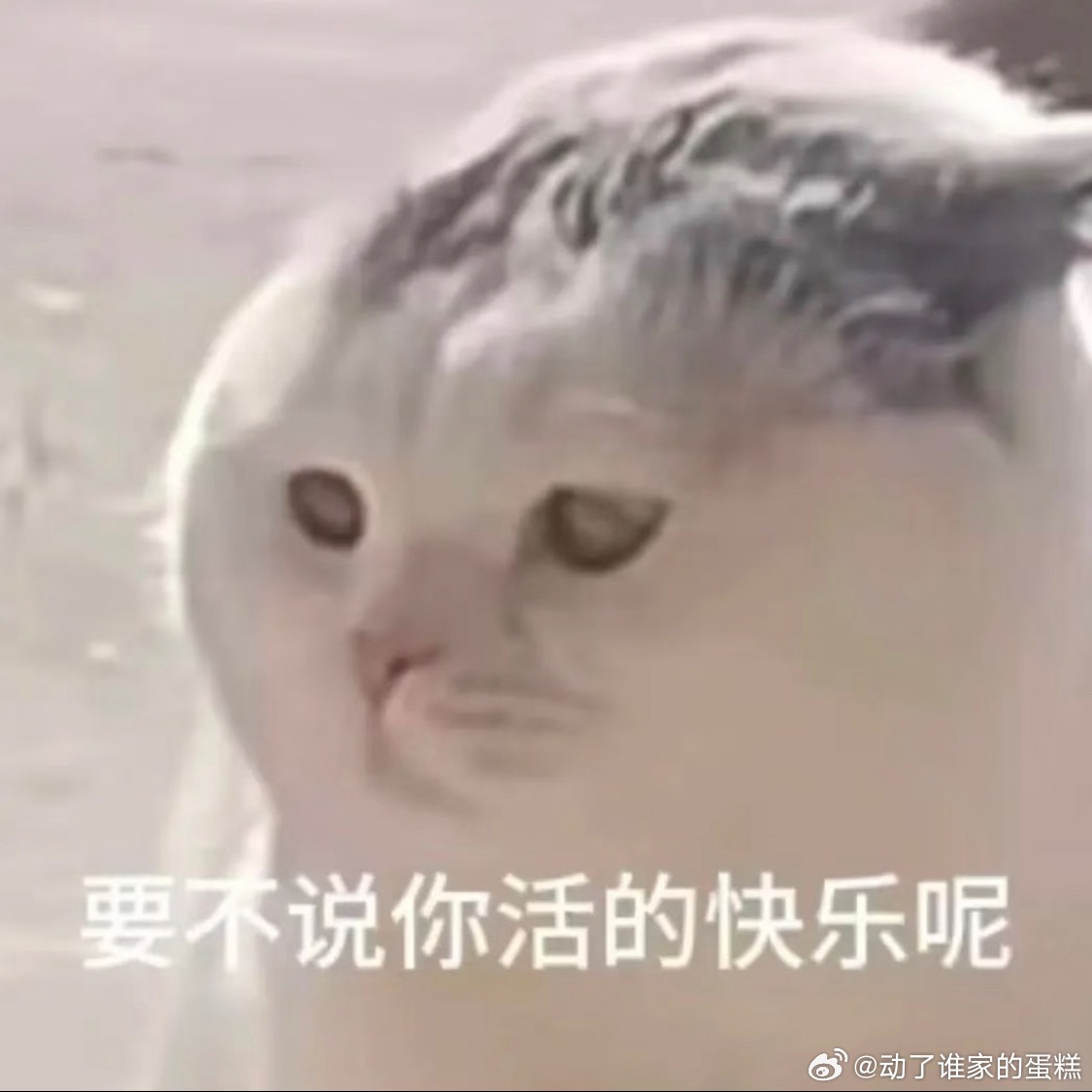 王一博 乐高小孩子的玩具有了，下一步可以代言婴幼儿奶粉，宝宝巴士也行🚌 ​​​