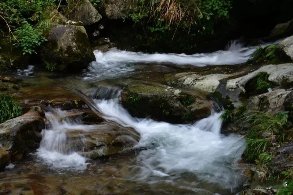 公园美丽景随拍仙寓山国家级森林公园