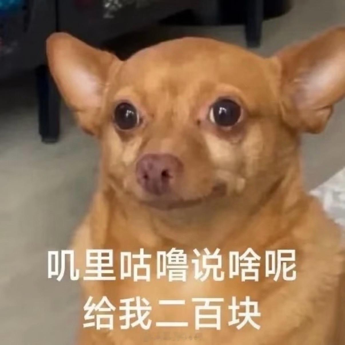 不废话！抽红包！！！「点赞+关注」抽3个小伙伴每人8.88元🧧明天就开！   