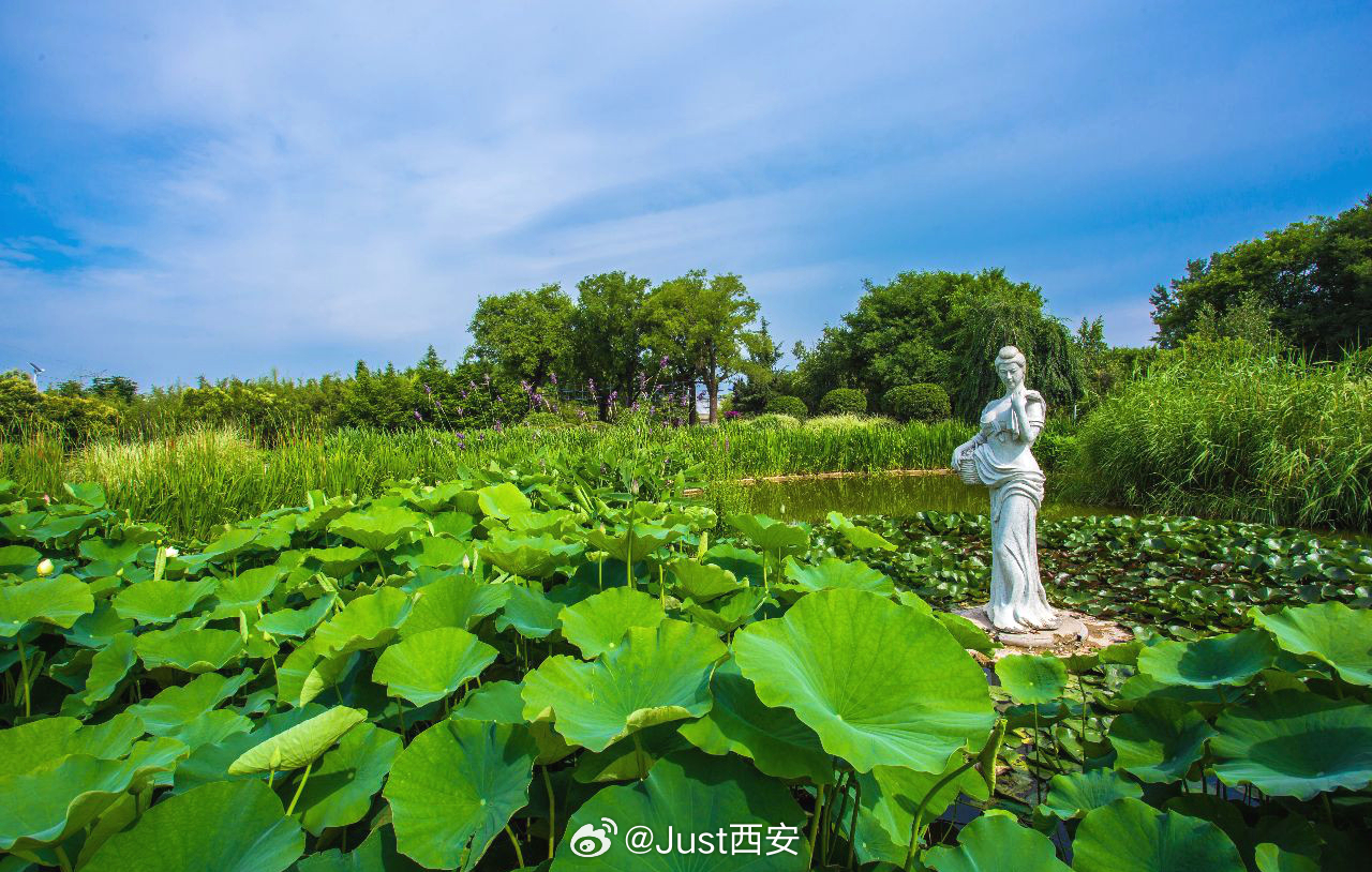 西安消夏文旅季正式启动 🌸解锁夏日微度假全新玩法！6月26日，2026西安消夏