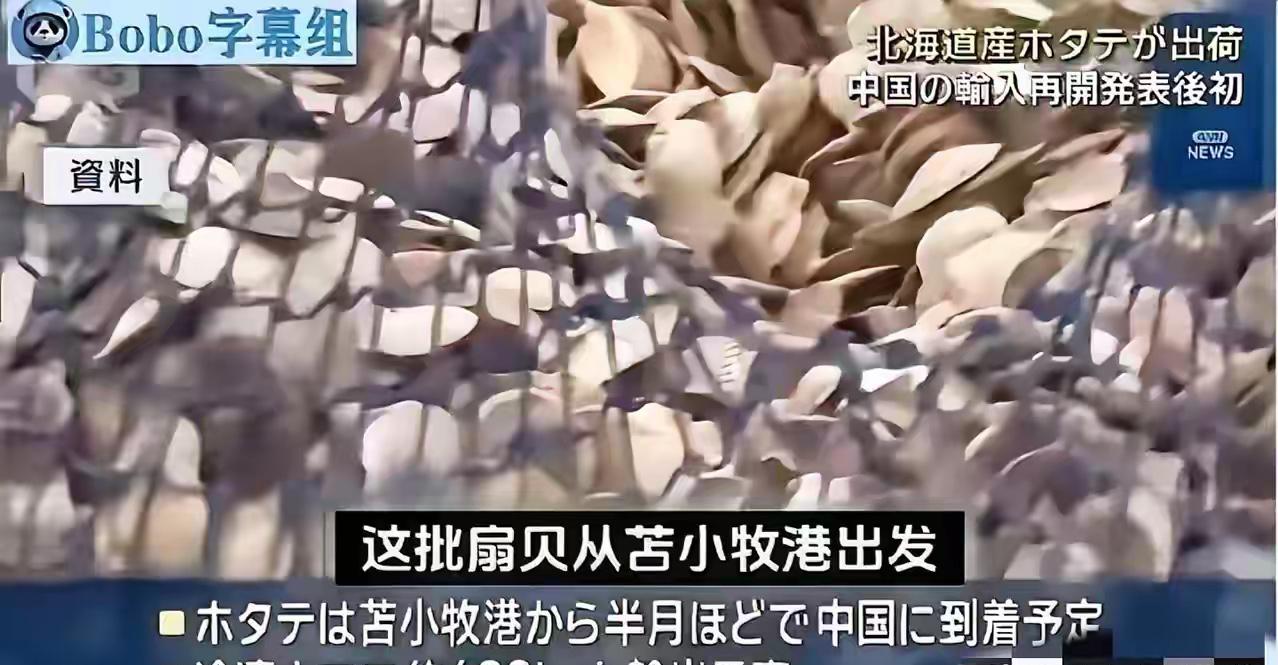日媒称：首批约6吨的北海道产扇贝已发往中国！买日本海鲜到底是一家什么样的公司？原