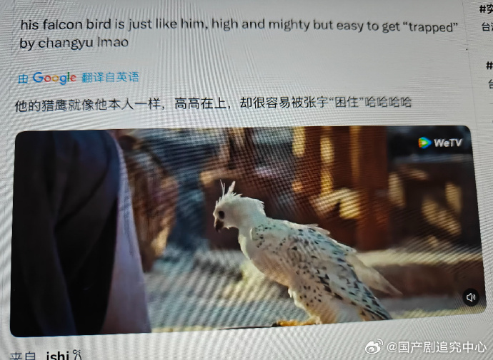 逐玉云合破40了 可以说逐玉有着这样的成绩是实至名归的，毕竟连外网都是领先的程度