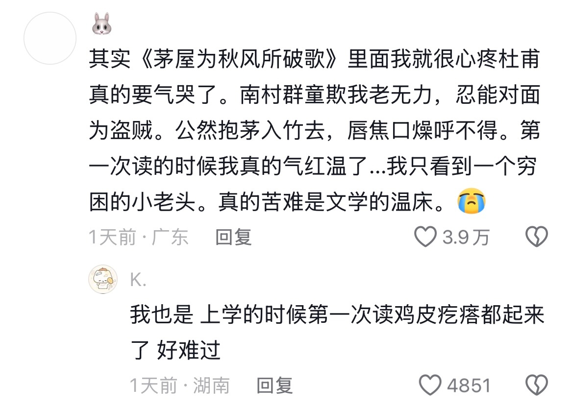 难以想象写出“会当凌绝顶，一览众山小”和“南村群童欺我老无力”的会是同一个人😭