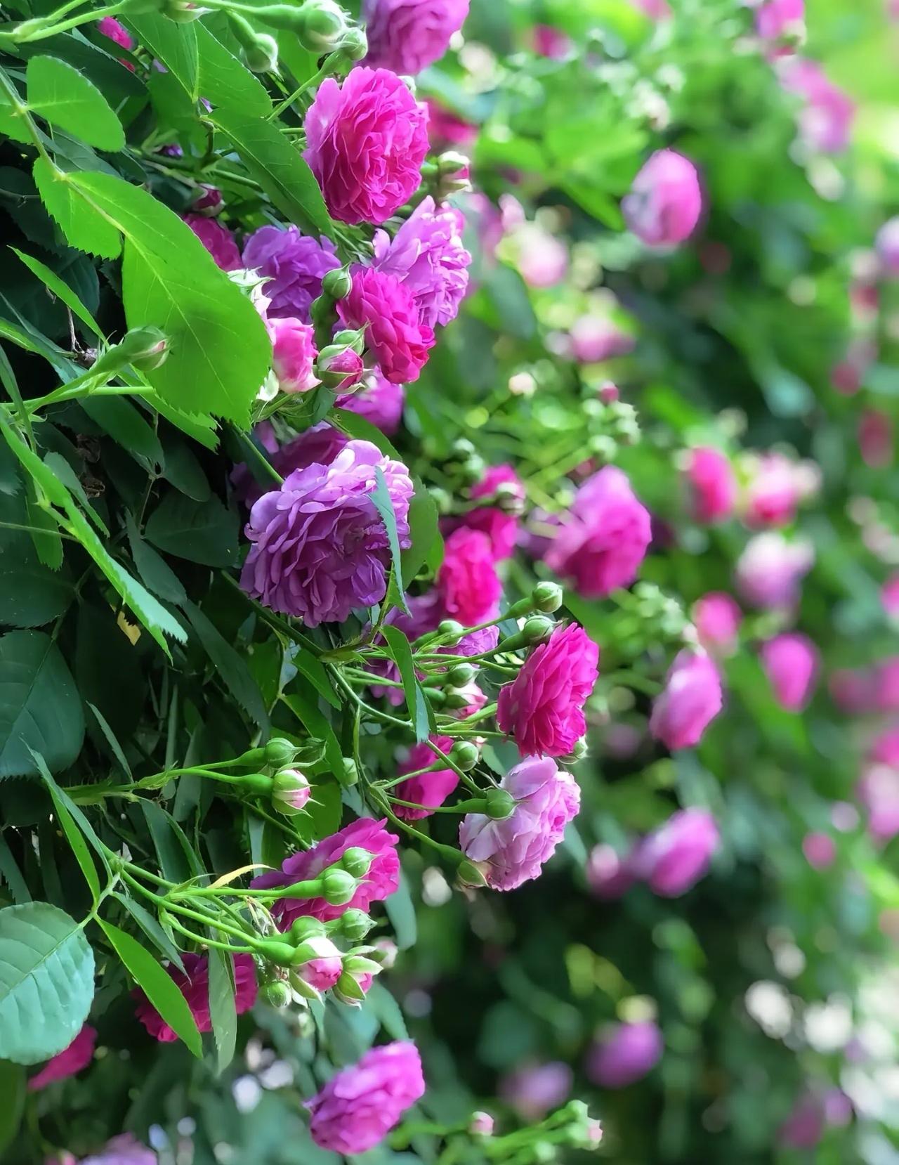 整顿教育，解决教育困境，其实很简单。
只需一招。
那就是，
让家长
走开！
家长