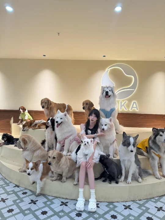 小狗拯救世界🦴˶>𖥦<˶