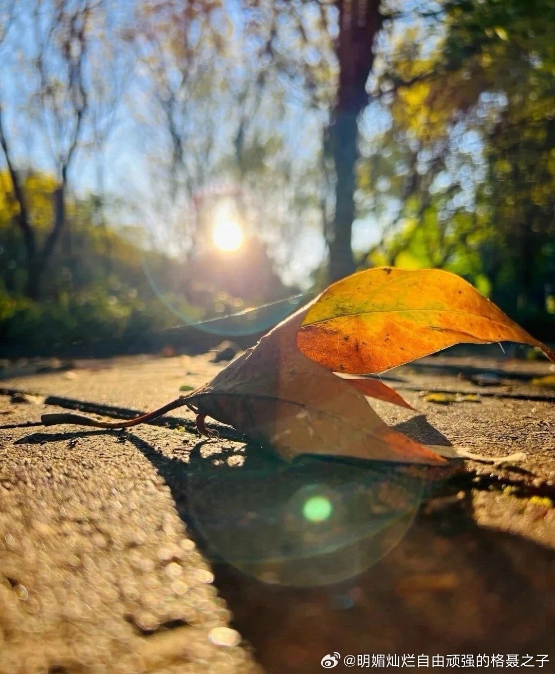生命本该轻盈，是过多的欲望使之沉重