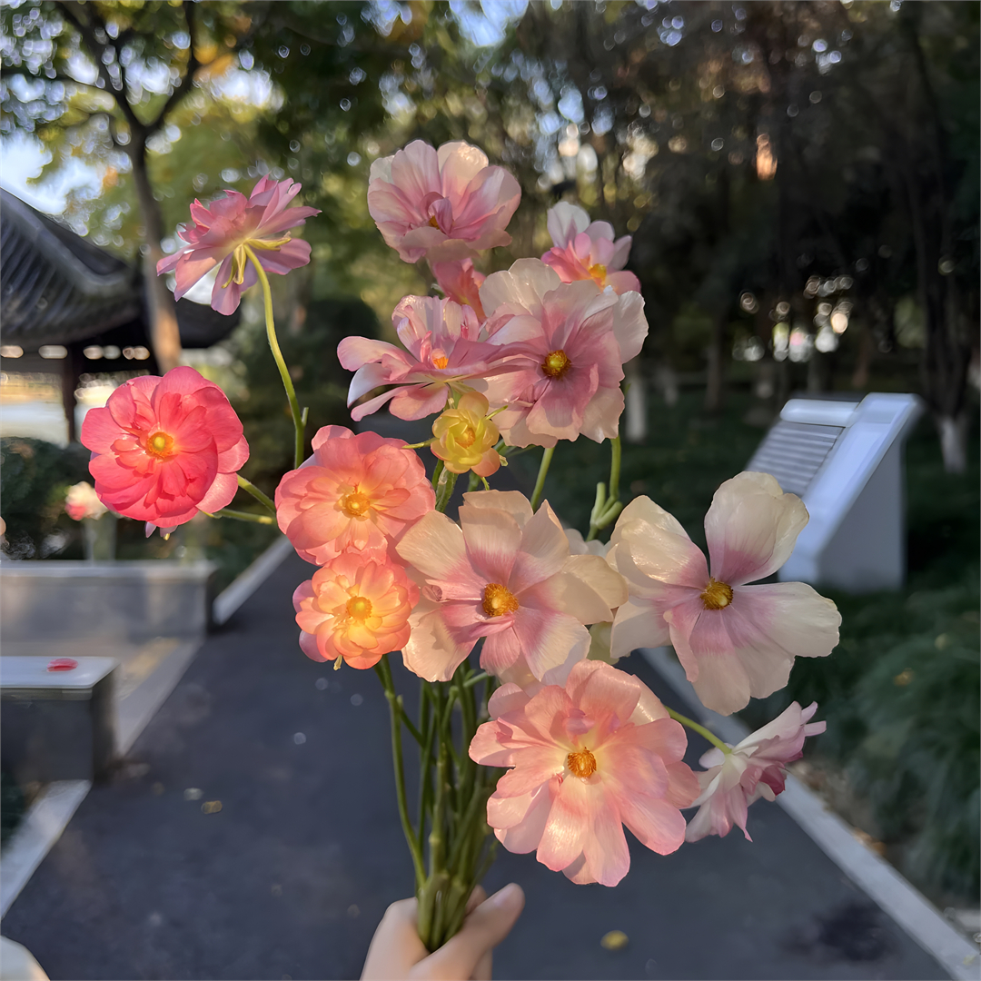 当你的能量越来越高时，你开始理解身边每一个人，没有好坏，没有对错，只是他处在不同