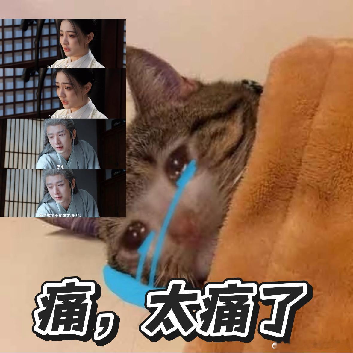 兄妹失散十五年至死没相认 兄妹失散十五年至死没相认，破防了！谢淮安白莞失散十五年