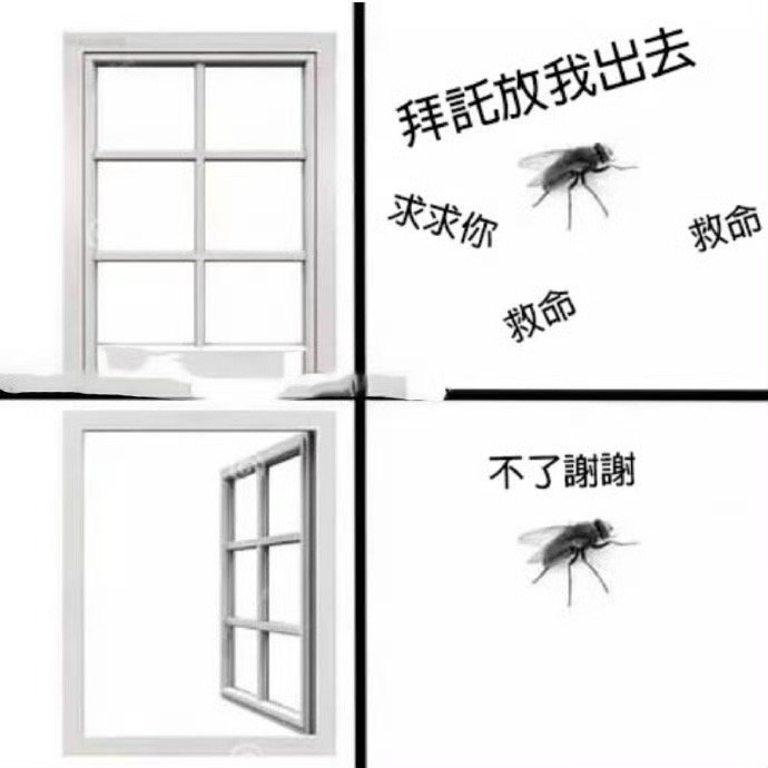 搞笑[超话]   这是我家的苍蝇 