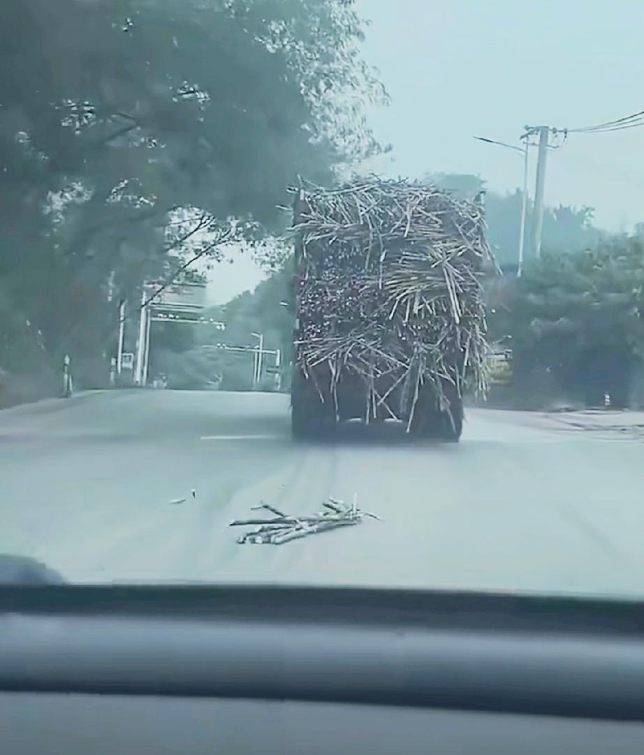 捡了个大漏。