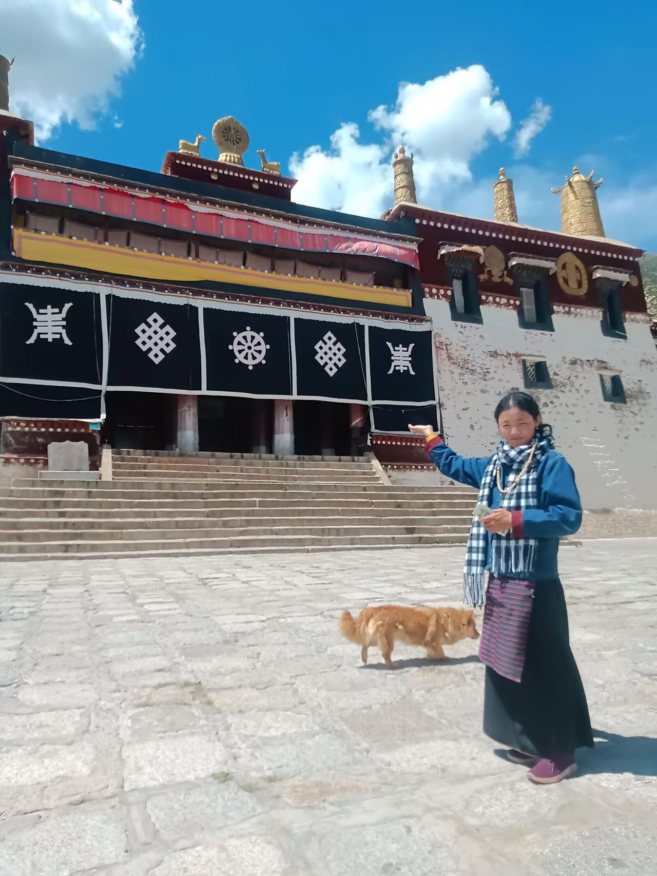 🎯 关于根与家
 
至亲在，人生有来处；至亲去，人生只剩归途。
对你来说，这句