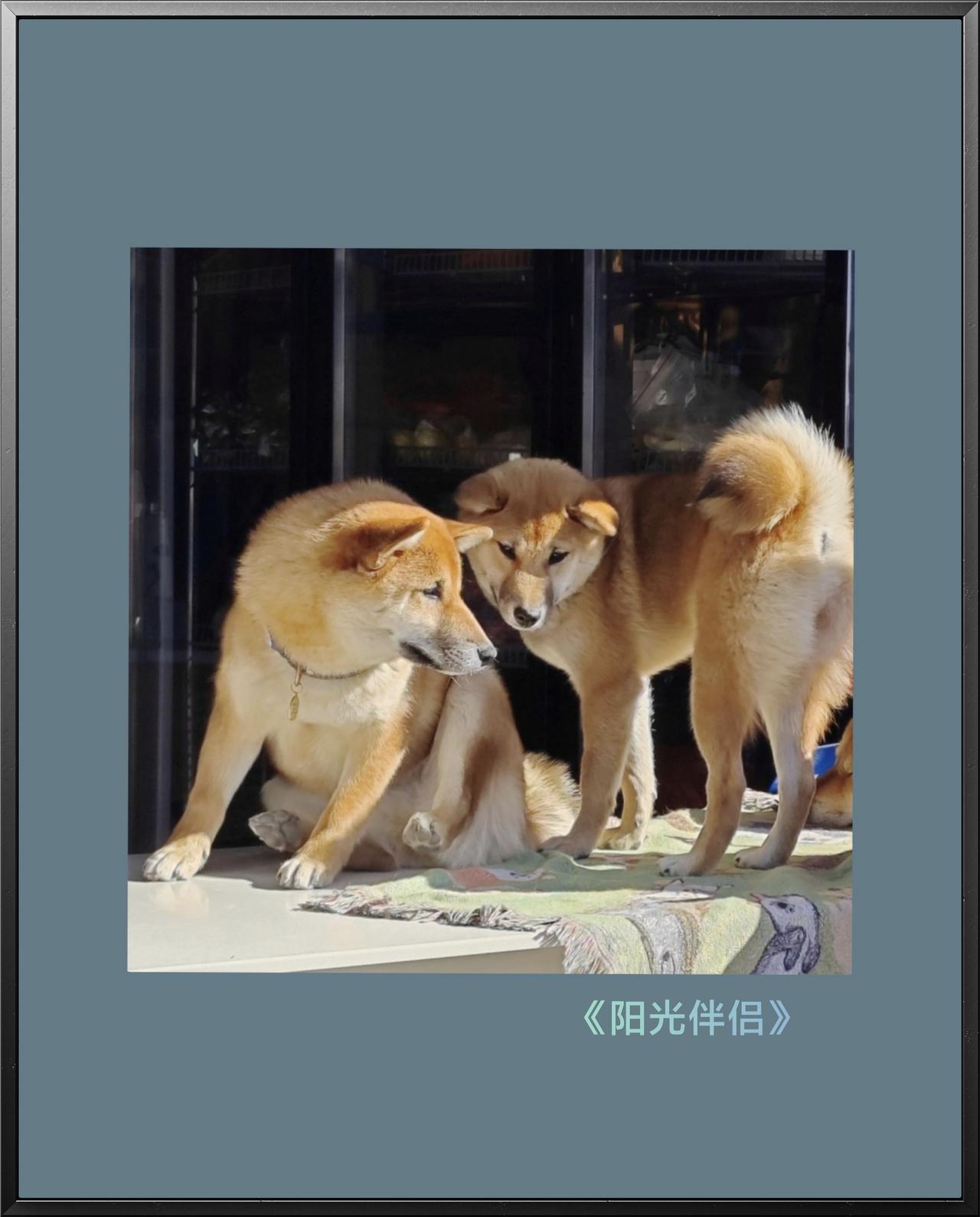 看……