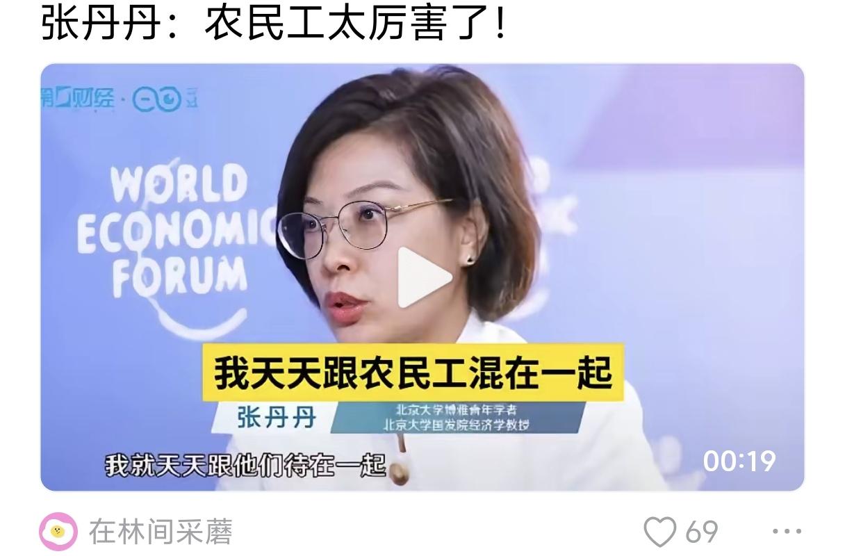 张丹丹教授说农民工特别厉害，他们可以在不同的平台跳，最大化自己的收入。

看了一