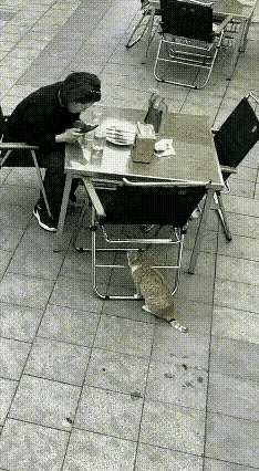 哇靠！有灵性