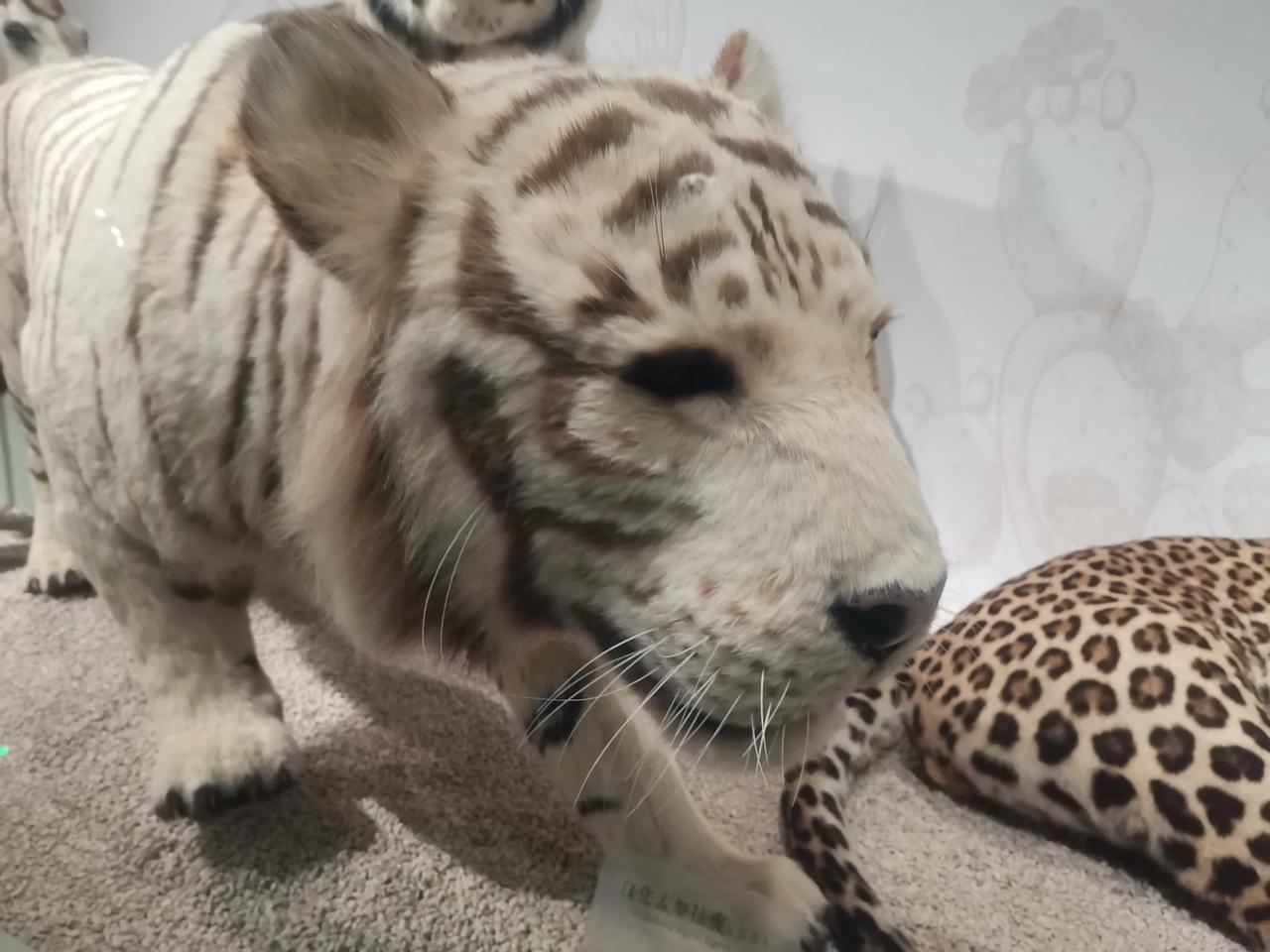 冬日生活打卡季
