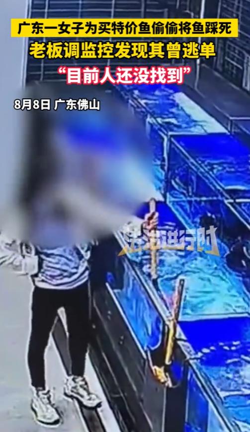 “太缺德了！”8月8日，广东佛山，一女子为了买特价的鱼，偷偷将鱼捞出并踩死，然而