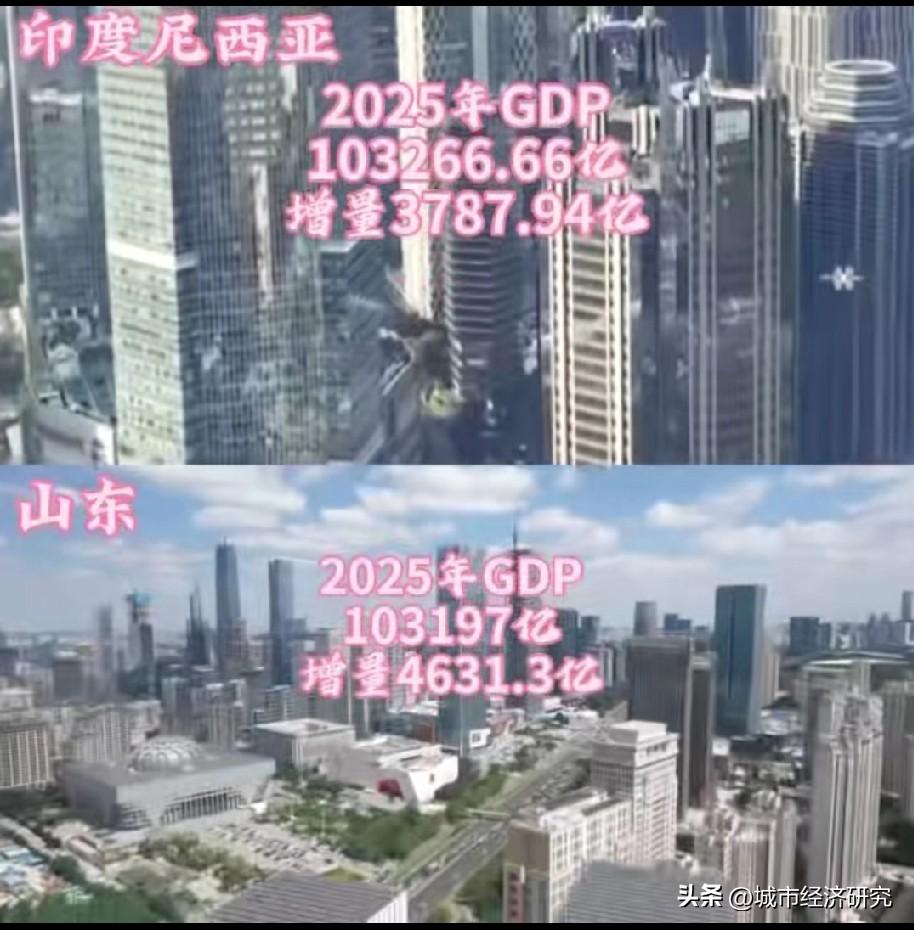 2025年山东GDP与印度尼西亚GDP数据对比情况，图片里属于2025年山东与印