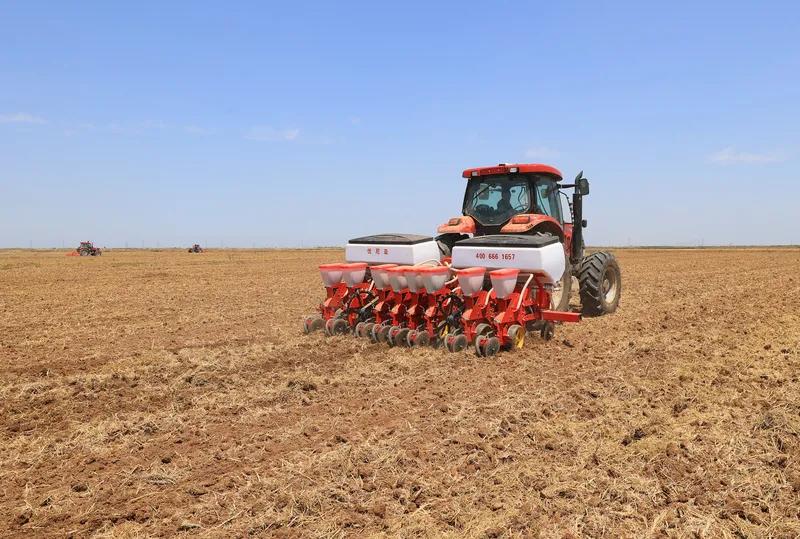 如此一来，选择空间会更为广阔。当然，并非进口数量越多就越好，我们仍需自主研发和种