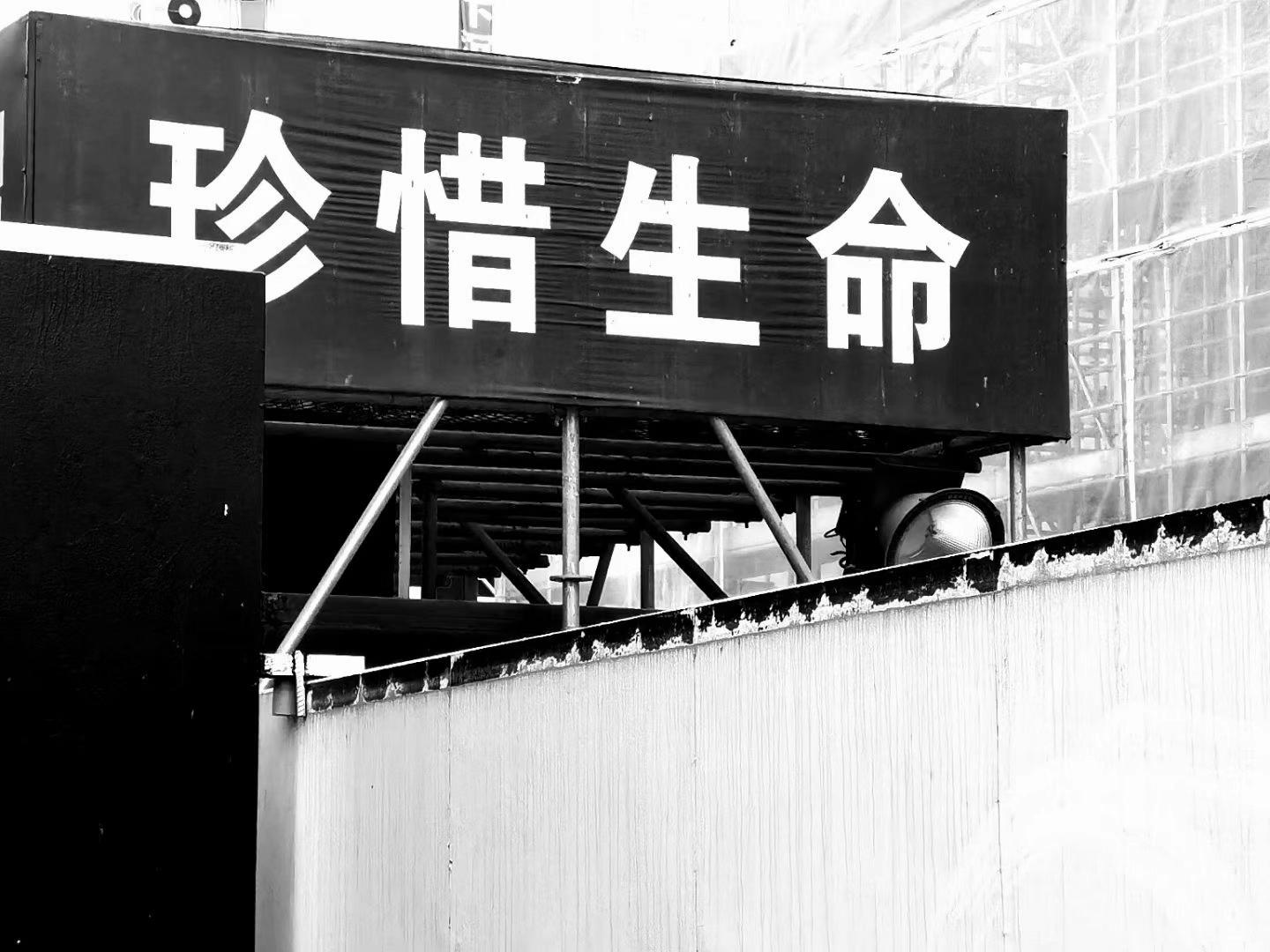 继续生长吧，像树一样！“人的一生，其实不过是在无数风景片段的组合中奔走...