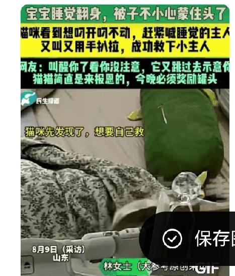 万物皆有灵！山东，一婴儿翻身时不慎被捂，熟睡的妈妈却浑然不觉。生死瞬间，家猫察觉