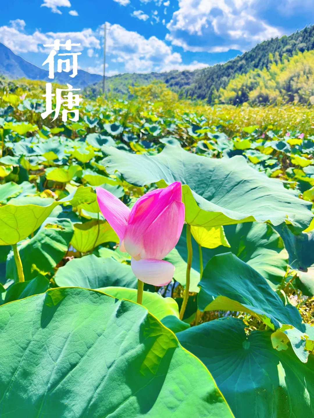 合肥出发|一起走进皖南的“香格里拉”！