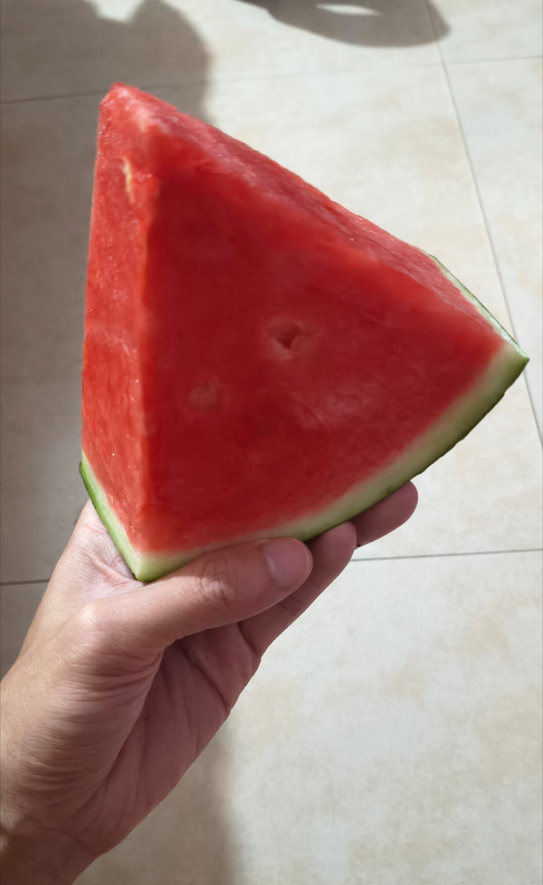 🍉     把日子过顺了就行  不用成诗 