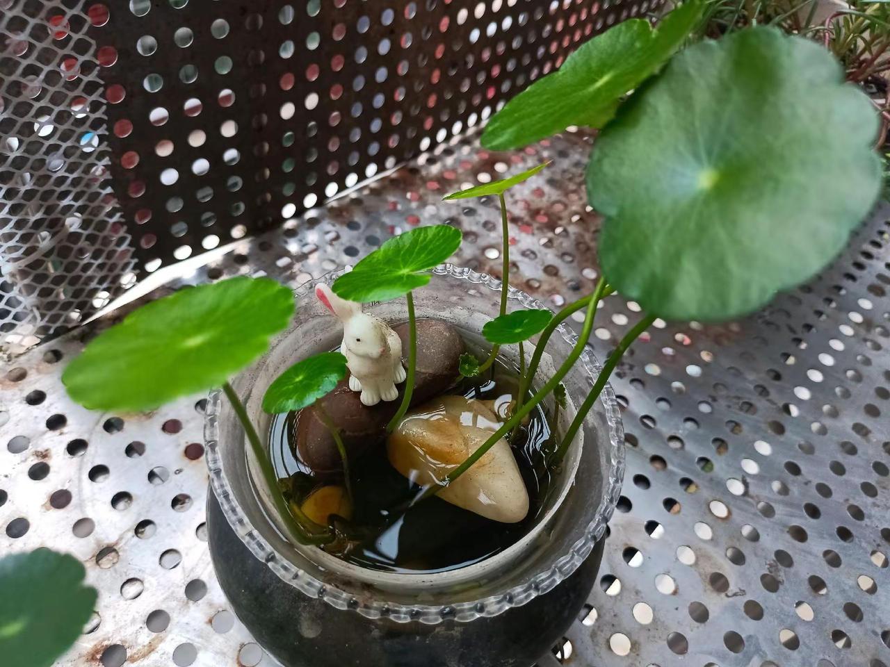 修一颗慈悲心，行一世善良事。烦恼即菩提，渡人亦自渡！