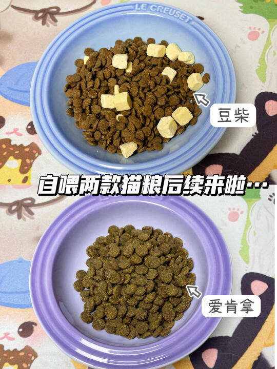 自喂两款猫粮后续来啦…