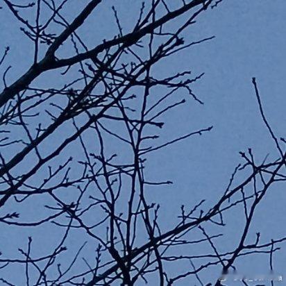 人越长大就越能明白，长大以后的世界，爱不爱是其次，相处不累才最重要。 