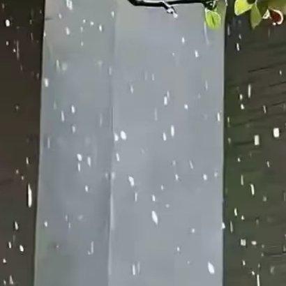 000000善良是一棵生机无穷的种子，只要你舍得播种，就会有你意想不到的甜果。善