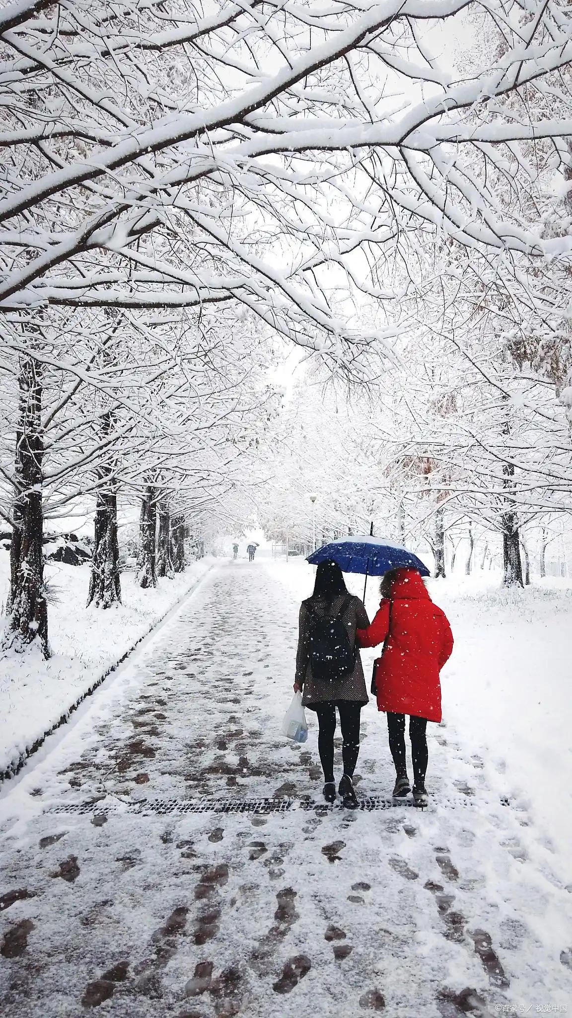 上联：雨雪风霜一路伴
下联：炎凉冷暖共相随