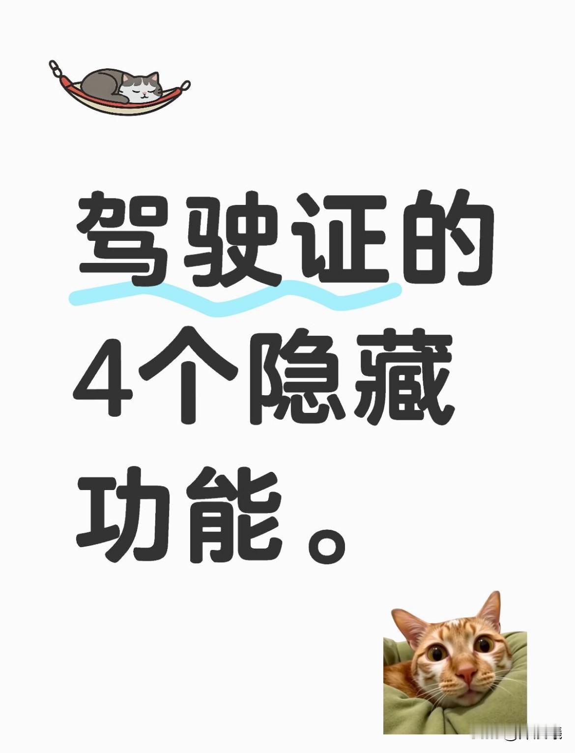 考了驾照只用来开车？这4个隐藏功能你可能不知道，不用太可惜，别让驾照白考！

现