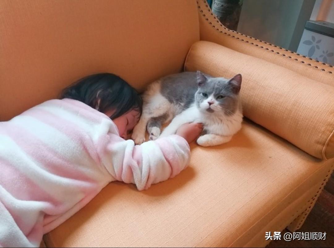 关于养猫，我一直都有个疑问，懂的人能不能给解释解释？

我觉得猫咪挺可爱的，而且