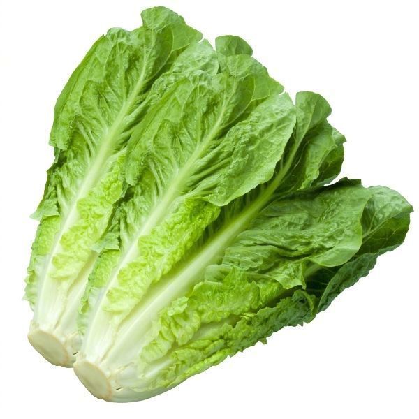 转发这个生菜，新的一年你会升官发财！​​​​运势 ​​​