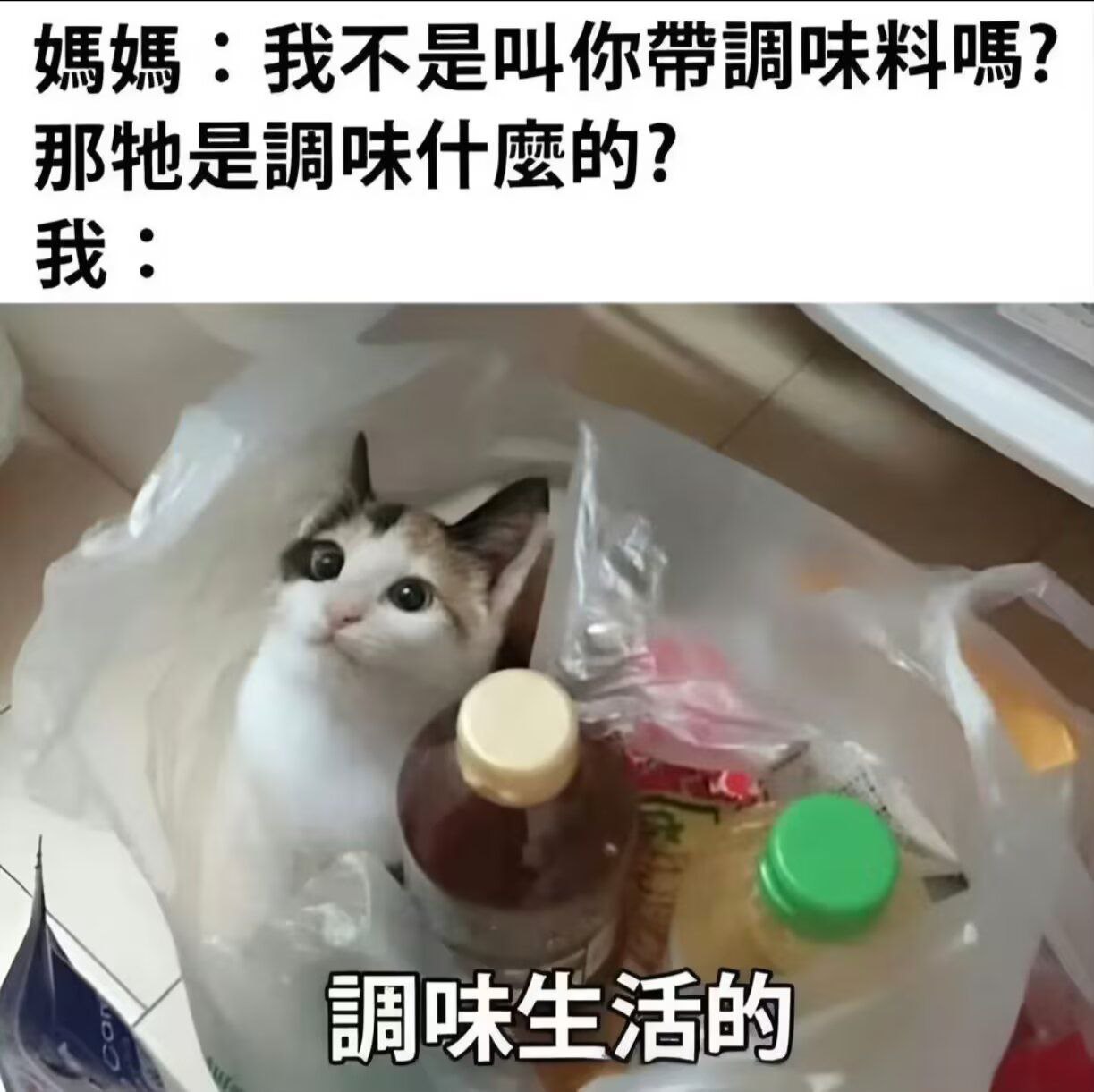 必需品 